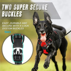 Dog Collars Harness Big Vests Leash Pet Shop Everything