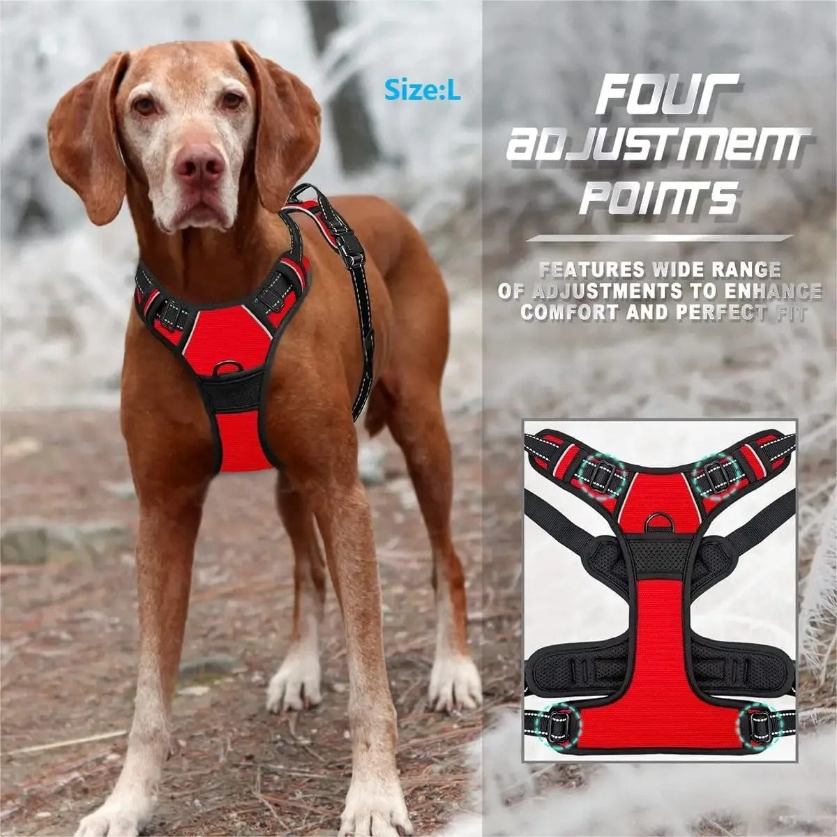 Dog Collars Harness Big Vests Leash Pet Shop Everything