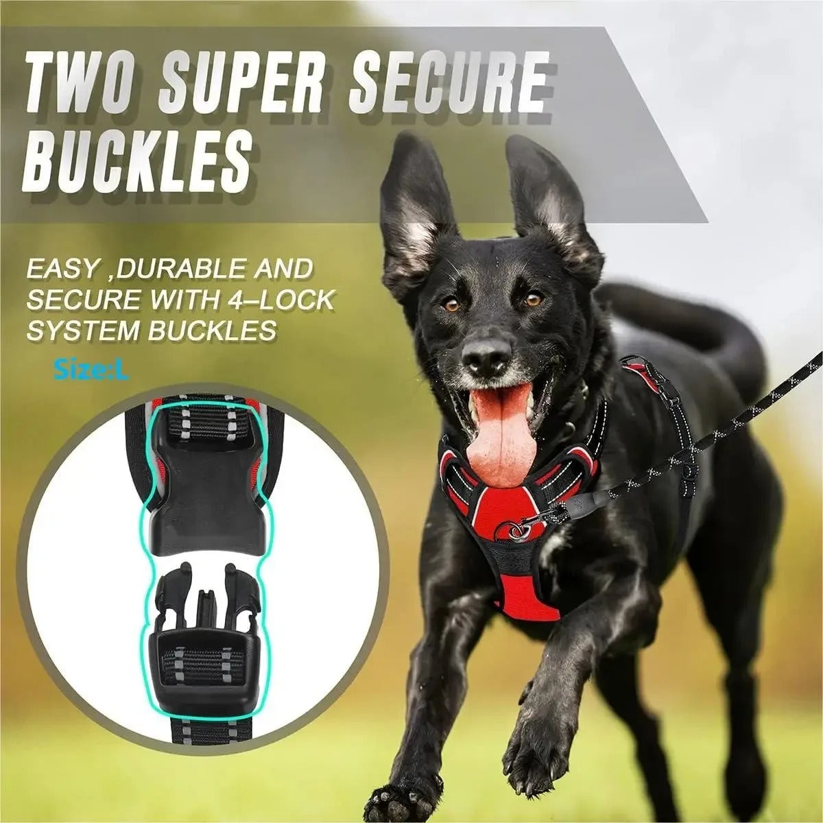 Dog Collars Harness Big Vests Leash Pet Shop Everything