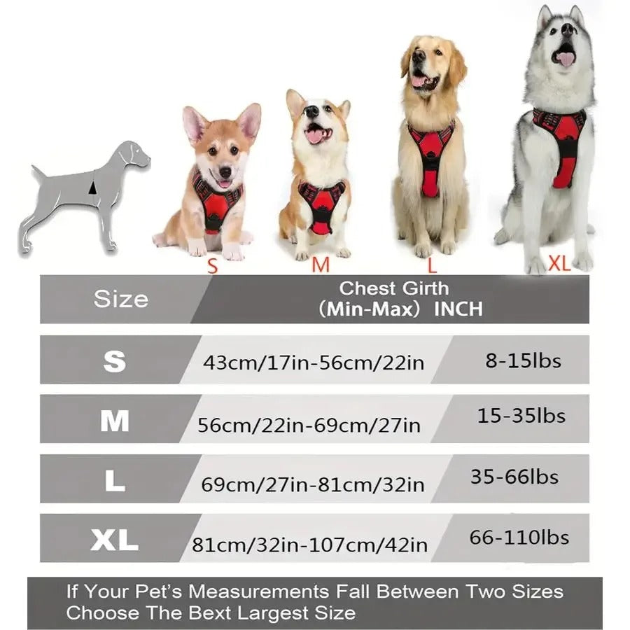 Dog Collars Harness Big Vests Leash Pet Shop Everything