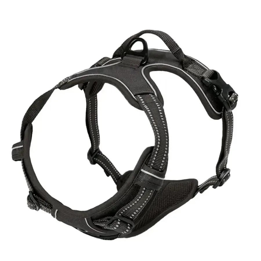 Dog Collars Harness Big Vests Leash Pet Shop Everything
