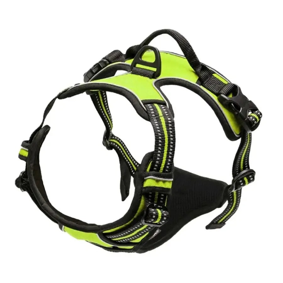 Dog Collars Harness Big Vests Leash Pet Shop Everything